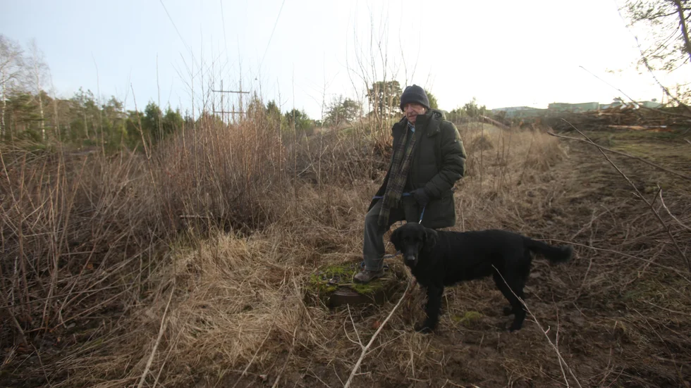 Under morgonpromenaden med flatcoated retrievern Todd försvann Mike Wiles ena ben plötsligt ner i ett brunnshål intill stigen.