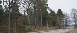 Kan bli naturreservat nära centrum