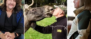 Rocklegendarer får årets Hedershorn