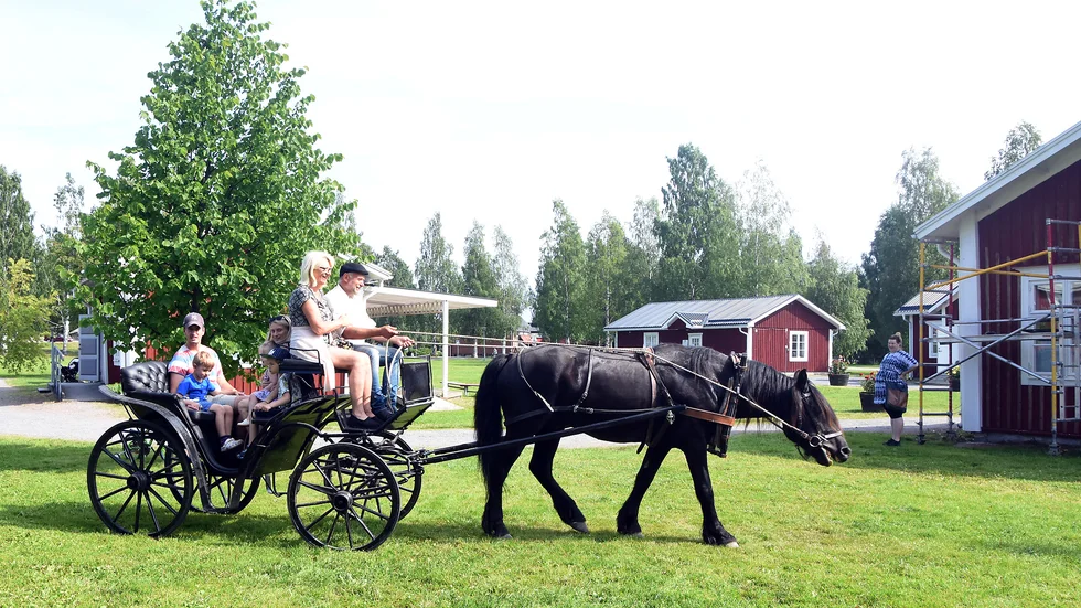 Bilden visar miljön på hembygdsområdet under firandet på midsommar.