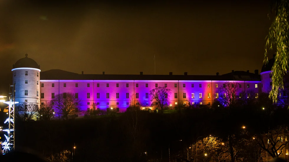 Hur ska man kunna fylla konstmuseet med kvalitativ konst, undrar Inga Serrander.