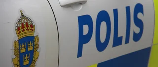 Hundar på vägen bakom kollision