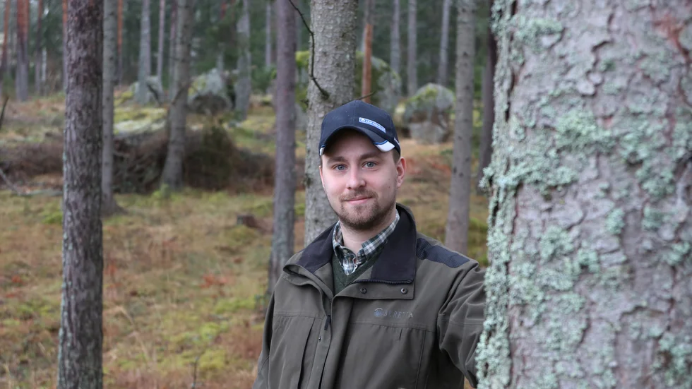 Viktor Ånöstam tror att prisutvecklingen i södra Sverige till viss del beror på övervärdering och att uppländsk skog är mer rimligt värderad.