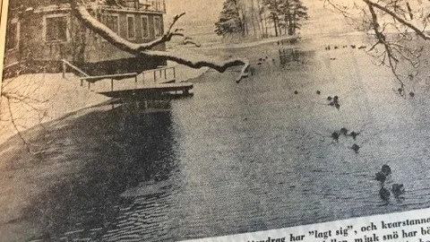 Kuriren för 50 år sedan: Vintern håller Sörmland i sitt järngrepp. De flesta vattendrag har lagt sig, och kvarstannade sjöfågel söker upp de få öppna vattendragen i åarna. Erik Wiksholms bild från Nyköpingsån vid Dufveholms pensionat.