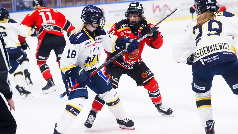 Luleå Hockey/MSSK
