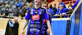 Tuffa valet: Sirius, Storvreta eller ...