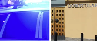 29-åring sparkade och bet polismän 