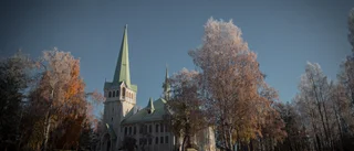 Skolan ska bli bättre på att vägleda