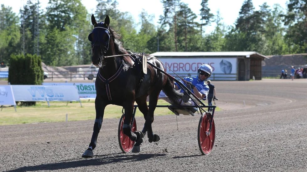 Det blir ingen V75-start för Vingåkershästen Policy of Truth på Romme i helgen.