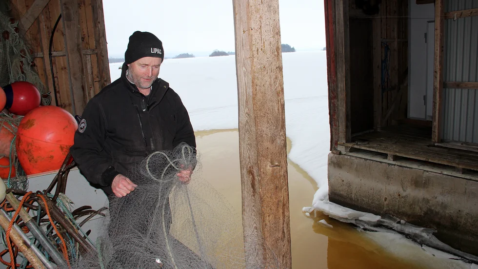 Lars-Ivan Hållstrand är fiskare i Hästskär i Tierps kommun.