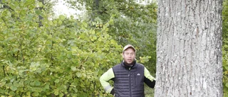 Partierna får dela på 1,8 miljoner