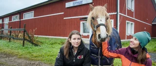 Visby Roma vill bryta negativ trend