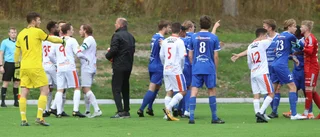 Vittnen såg flera personer göra inbrott