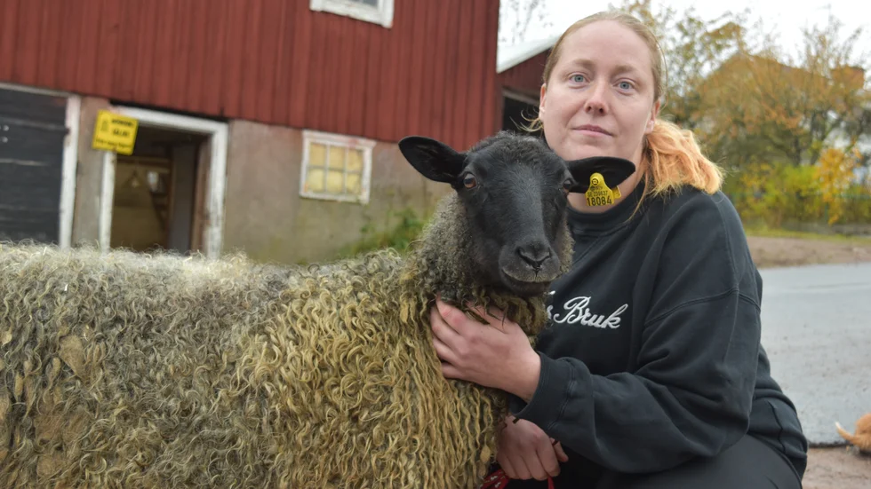 Madelene Svensson har öppnat en äggbod i det gamla sädesmagasinet på gården i Karlstorp. Till sommaren vidareutvecklar hon och sambon verksamheten med en gårdsbutik med kött från gården.