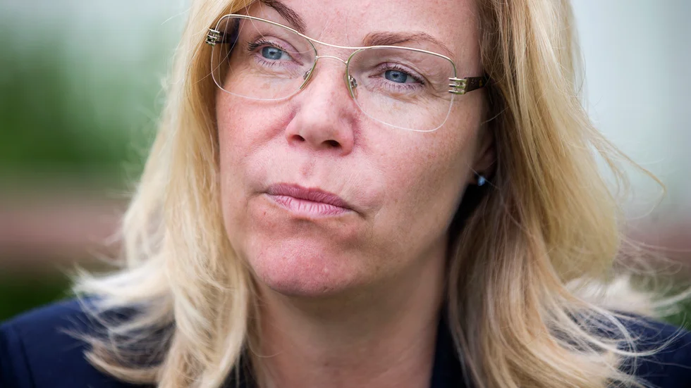 Kommunalråd Lenita Ericson tror att den föreslagna mångmiljonsatsningen vid Lulviken skulle kunna betyda mycket för stadens framtida utveckling. 