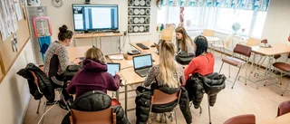Fjärrundervisning ger nytta för landsbygden