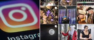 Följ @unt.se på Instagram       