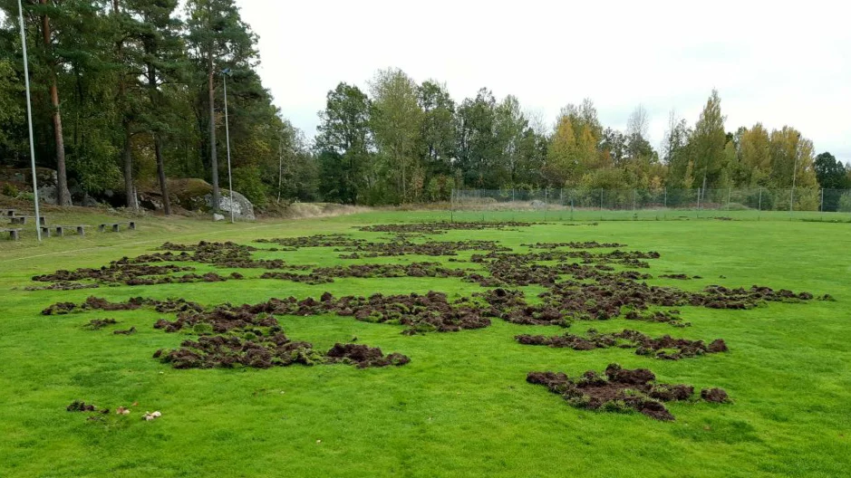 I slutet av förra veckan möttes Horn-Hycklinge IF av en uppbökad fotbollsplan på Stångåvallen.