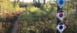 MTB-arena byggs vid gamla skyttepaviljongen