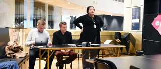 Länskonstmuseet försökte svara på frågor