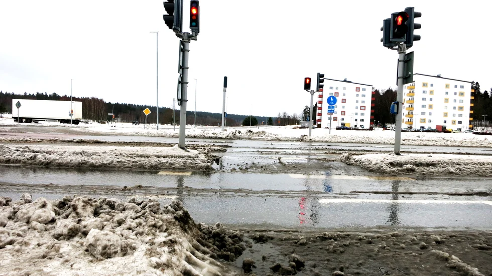 Här börjar den långsträckta Steninge allé.  