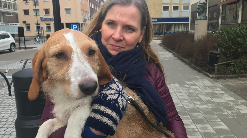 Susanne Dahlman med Sully, som kom hem igen efter sex dagar på rymmen. Sullys mamma Svea är fortfarande försvunnen.