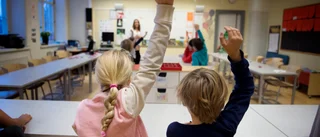 Förbjud aktiebolag att bedriva skolverksamhet