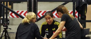 Tränaren lämnar efter säsongen