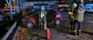 "Många ser fram emot att Max ska öppna"
