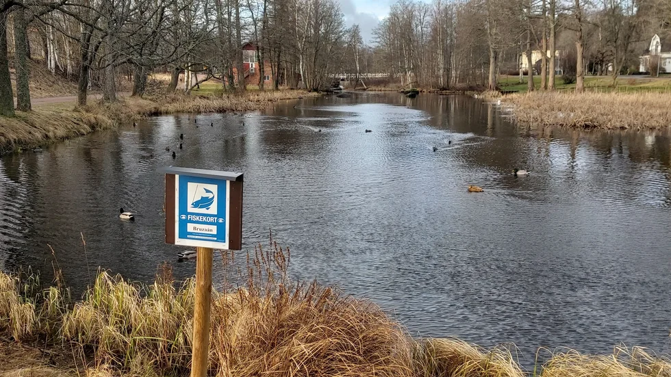 Bruksdammarna i Mariannelund har anor från 1700-talet. 