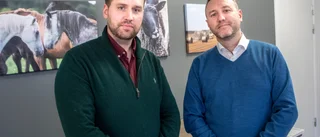 Visbybröder vill ta Gotland till fastlandet