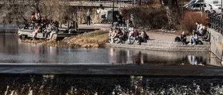 Ovanligt varm januarivecka i Uppsala  