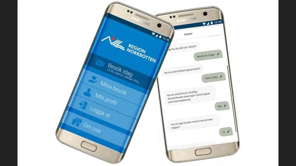 Region Norrbotten tar upp kampen med nätläkarapparna och lanserar en egen vårdtjänst uder namnet Digitalen. (Arkivbild)