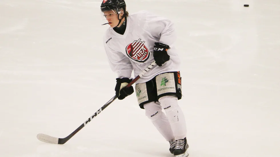 Piteå Hockey lånar Linus Hedman av Skellefteå AIK. (Arkivbild)
