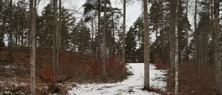 Bygglov överklagades – bygger mast ändå