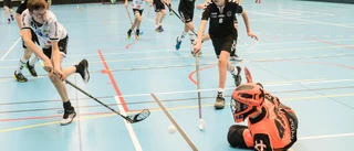 GUIDEN: Det händer i helgen och vecka 47