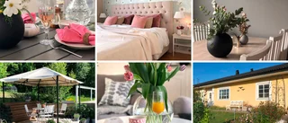 Instagraminredare låter naturen flytta in