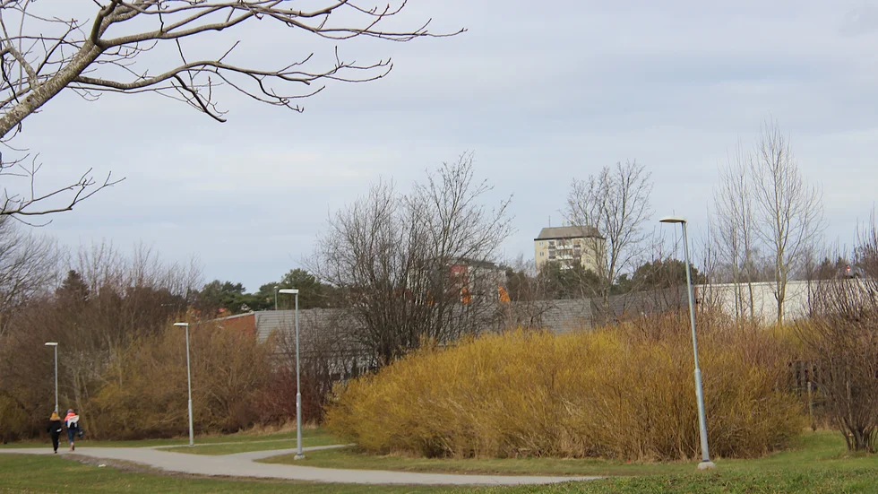 Högst tre våningar i söder och sydväst får byggas i området vid Westerlunds gata närmast villorna.