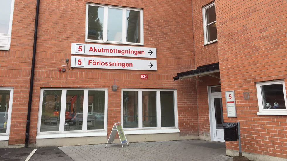 Efter förlossningen tog det 20 månader innan kvinnan fick sin diagnos.