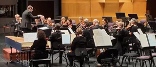 Musikens vinterklanger och drömmar