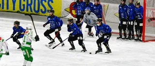 19.00: Följ Sirius mot Vetlanda