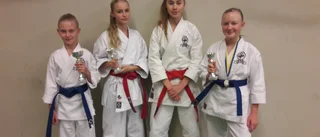 Fyra medaljer till Eskilstuna 