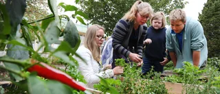 Eleverna som sätter krydda på skolan
