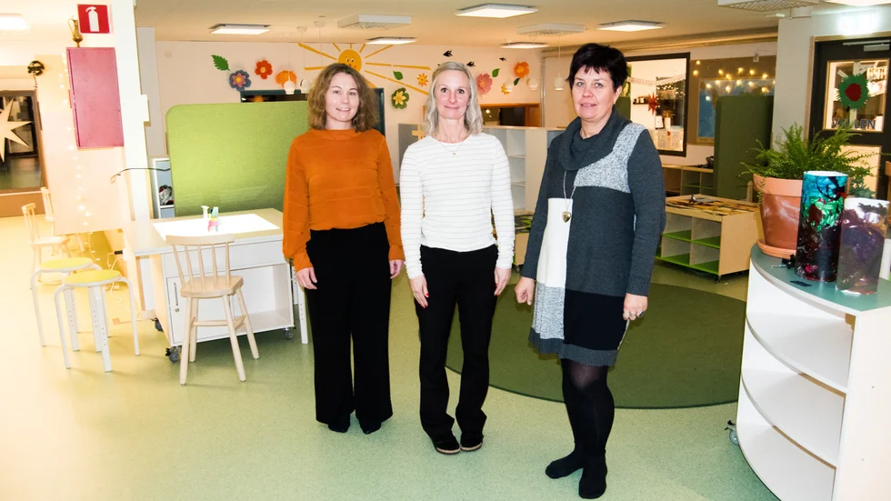 Kammarrätten underkänner ett beslut om tillstånd till skyddsjakt på storskarv.