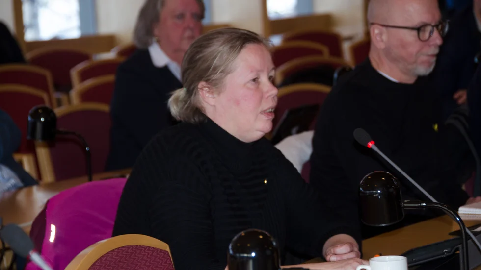 Susanne Darengren (SD) säger att förslaget om sänkt partistöd inte har med populism att göra.