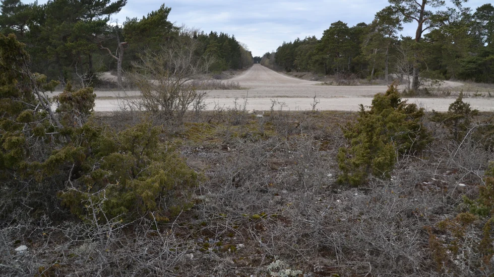 I höst startar Dansakademin upp i bottenplan av Detektiven. 