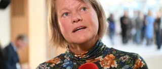 Avgörande spiken i Januariavtalets kista?