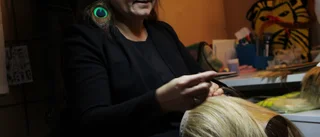 Du är fri att tro, inte att arbetsvägra