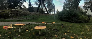 Det hållbara behöver ägandets kraft