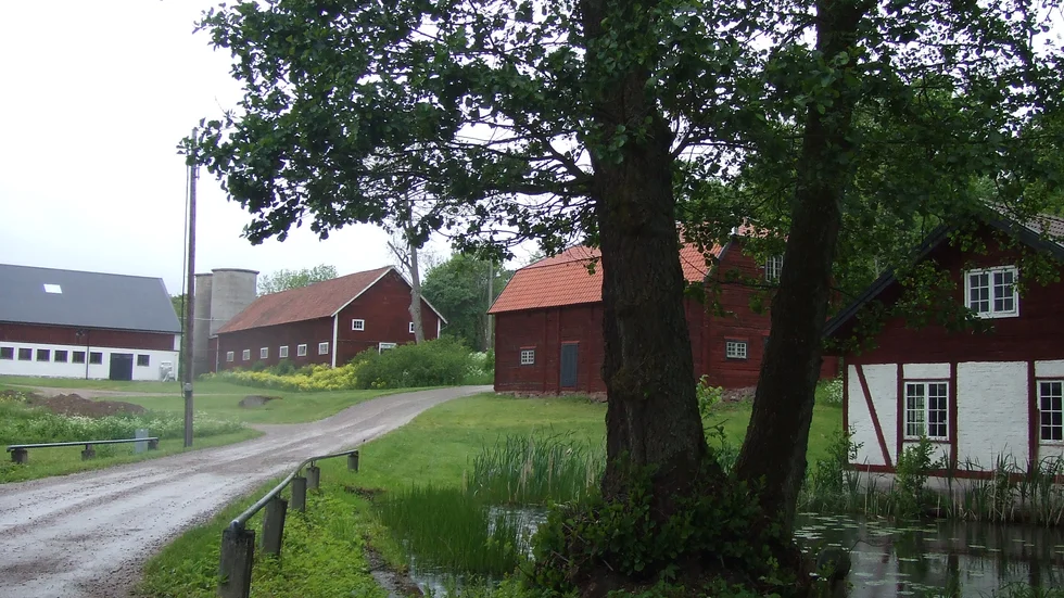 Arbetet med att planera utbyggnaden av området Marielund, öster om Uppsala, ska tas upp omgående. Detta efter ett beslut från kommunstyrelsen.